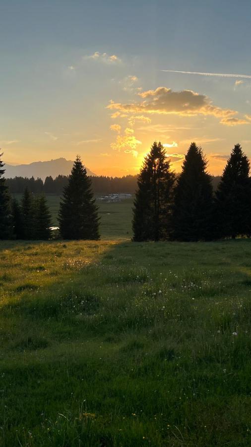 לאבארונה Malga Millegrobbe Nordic Resort מראה חיצוני תמונה